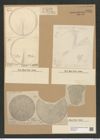 Coscinodiscus perforatus Ehr. (de-Toni-Nr.: Genus 202, Species 5079) Zeichnungen Sammlung Grunow Nr. 8831 (NHMW-BOT-W0378451)